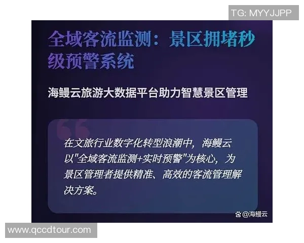 与王丽畅谈和平精英的成长历程与未来展望实时数据